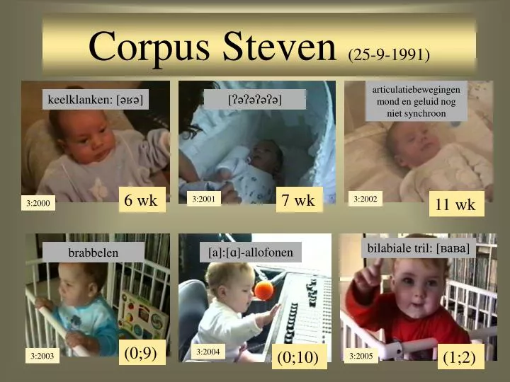 corpus steven 25 9 1991