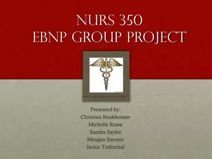 nurs 350 ebnp group project