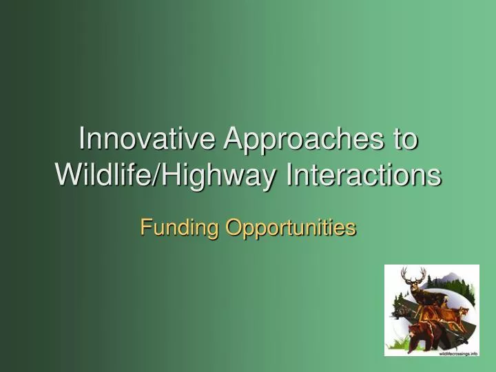 innovative approaches to wildlife highway interactions
