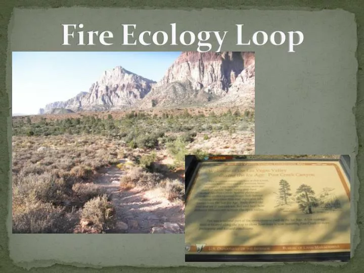 fire ecology loop