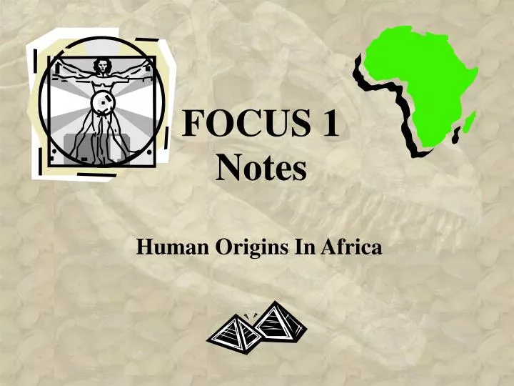focus 1 notes