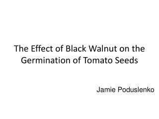 The Effect of Black Walnut on the Germination of Tomato Seeds