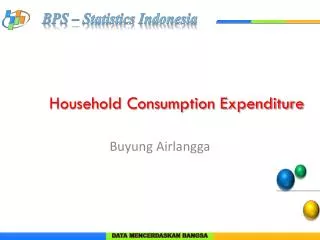 Household Consumption Expenditure