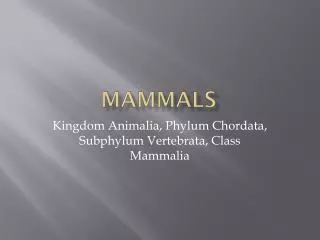 mammals