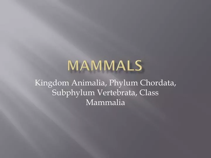 mammals