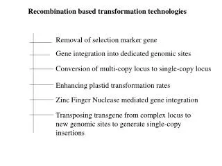Recombination based transformation technologies