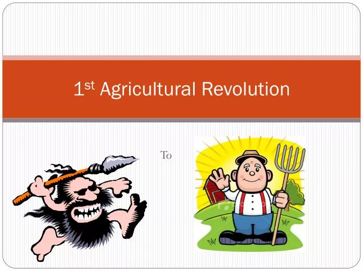 1 st agricultural revolution