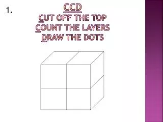 ccd c ut off the top c ount the layers d raw the dots