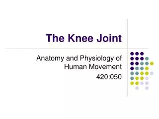 The Knee Joint