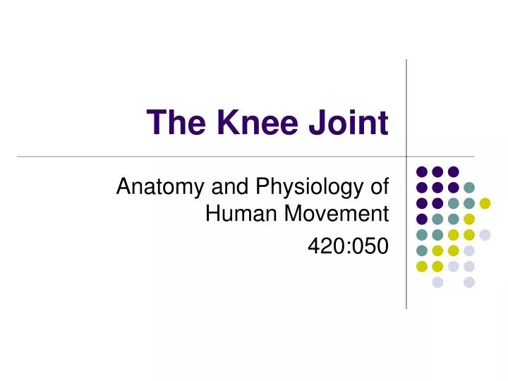 the knee joint