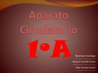 aparato circulatorio