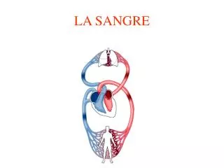 la sangre