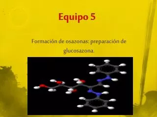 equipo 5