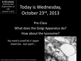 Today is Wednesday, October 23 rd , 2013