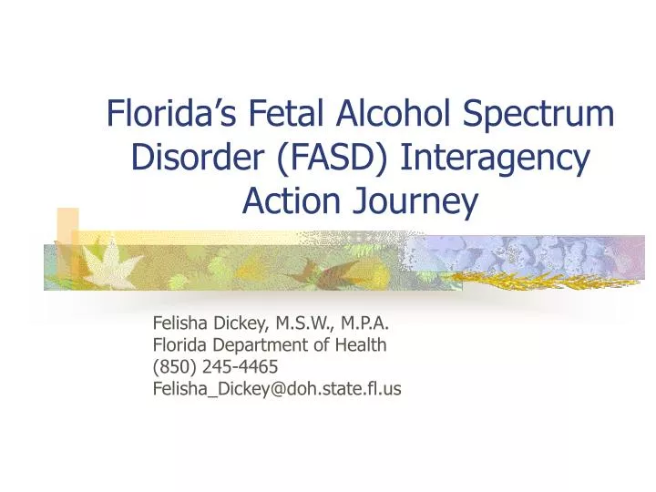 florida s fetal alcohol spectrum disorder fasd interagency action journey