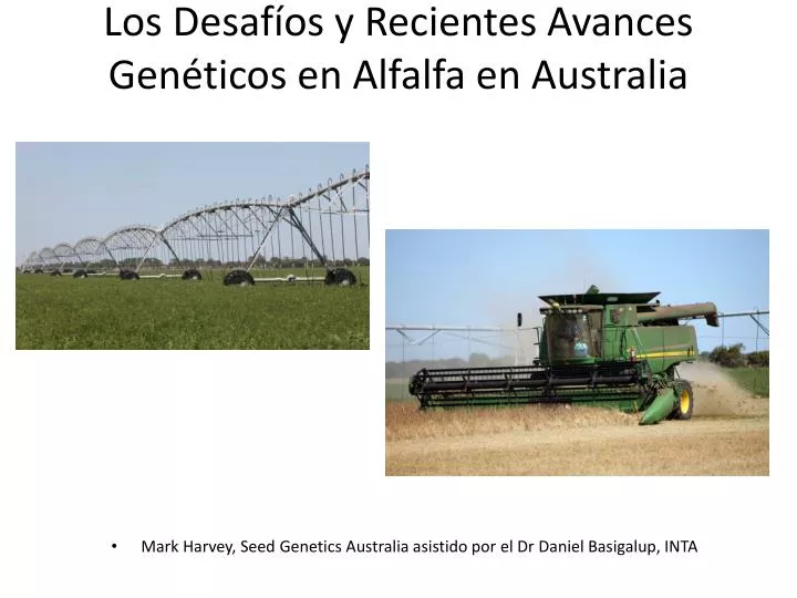los desaf os y recientes avances gen ticos en alfalfa en australia