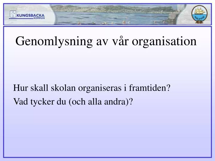 genomlysning av v r organisation