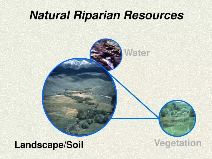 natural riparian resources