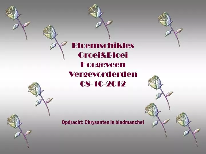 bloemschikles groei bloei hoogeveen vergevorderden 08 10 2012