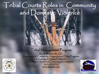 Tribal Courts Roles in Community and Domestic Violence