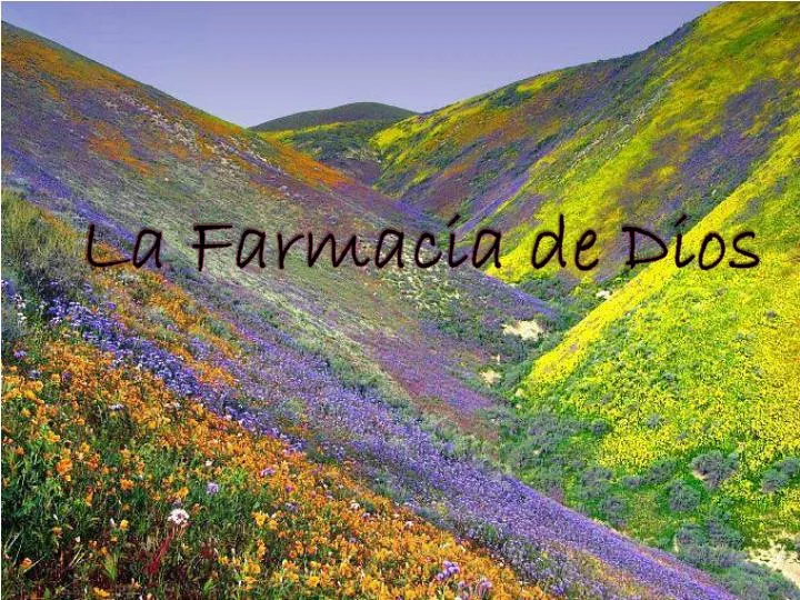 la farmacia de dios