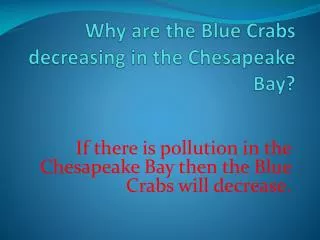 W hy are the Blue C rabs decreasing in the Chesapeake Bay?