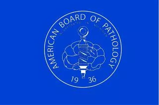 American Board of Pathology Maintenance of Certification