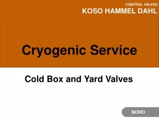 Cryogenic Service