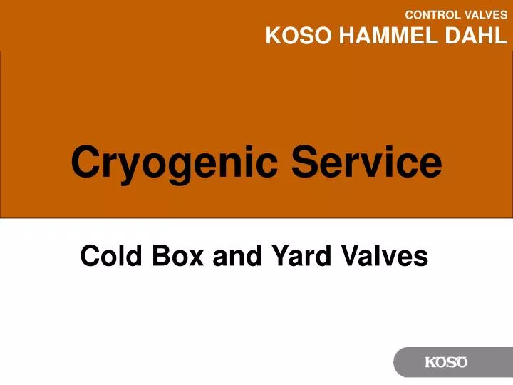 cryogenic service