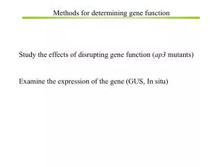 Methods for determining gene function