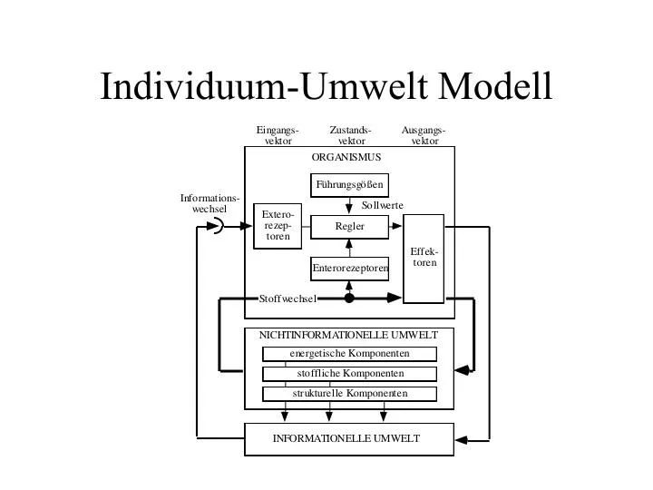 individuum umwelt modell