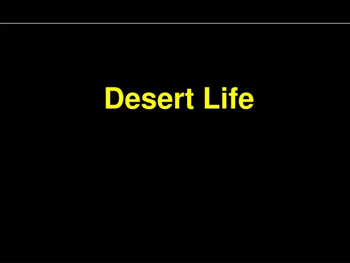 desert life