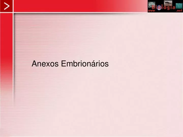 anexos embrion rios