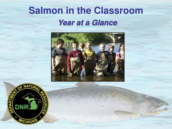 salmon in the classroom year at a glance