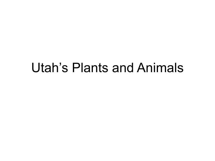 utah s plants and animals