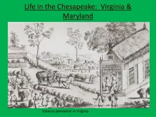 Life in the Chesapeake: Virginia &amp; Maryland