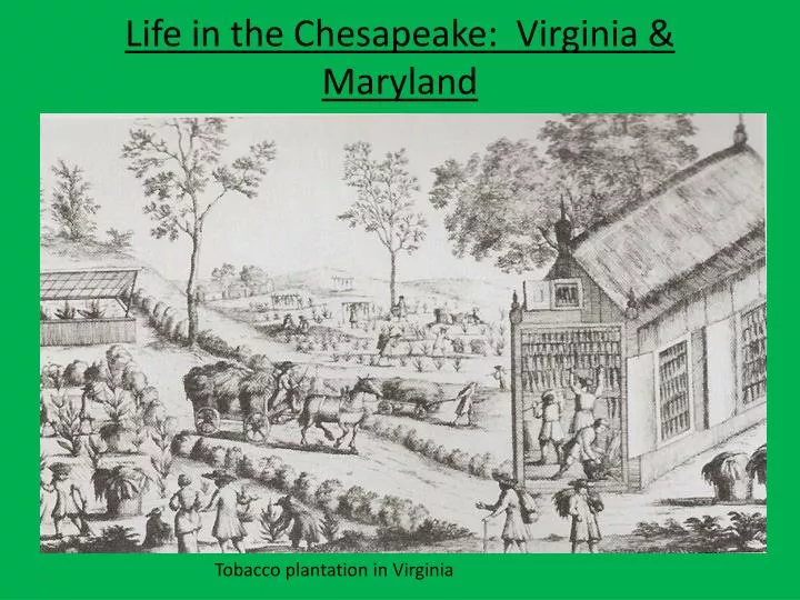 life in the chesapeake virginia maryland