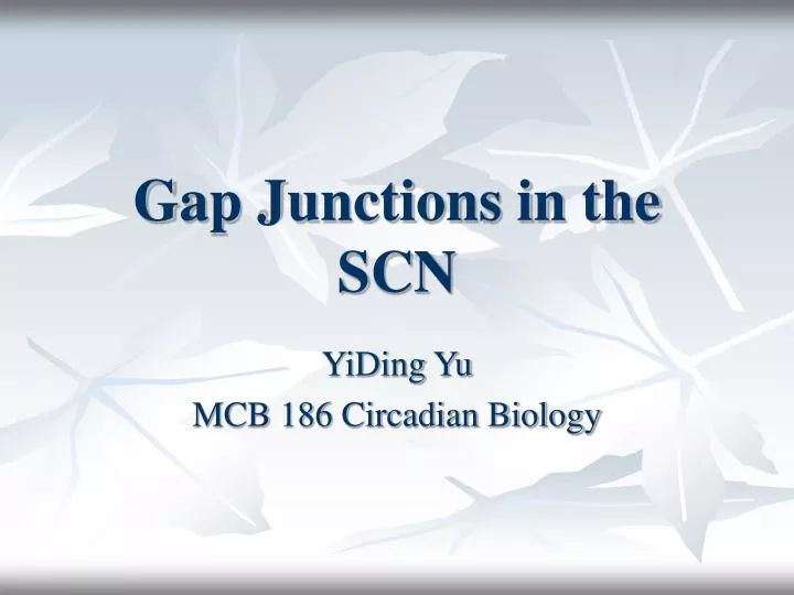 gap junctions in the scn