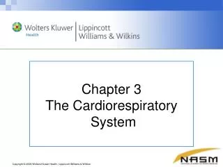 Chapter 3 The Cardiorespiratory System