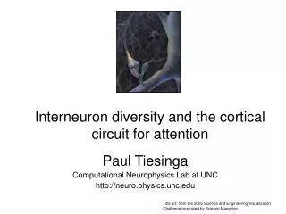 Interneuron diversity and the cortical circuit for attention