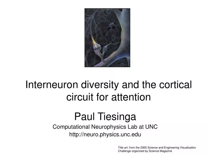 interneuron diversity and the cortical circuit for attention