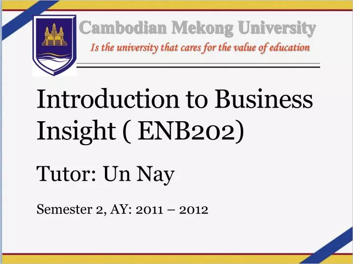 introduction to business insight enb202