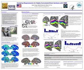 Sampling Requirements for Highly Convoluted Brain Surfaces with FMRI