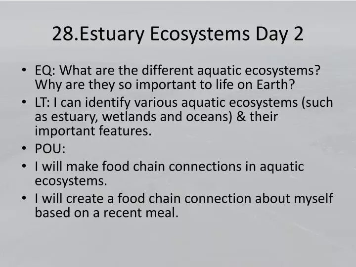 28 estuary ecosystems day 2