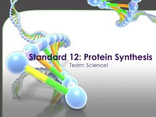 Standard 12: Protein Synthesis