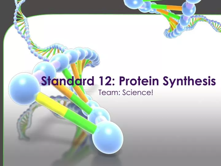 standard 12 protein synthesis