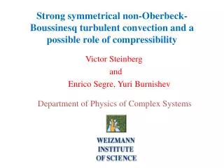 Victor Steinberg	 and Enrico Segre, Yuri Burnishev