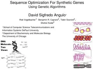 Sequence Optimization For Synthetic Genes Using Genetic Algorithms