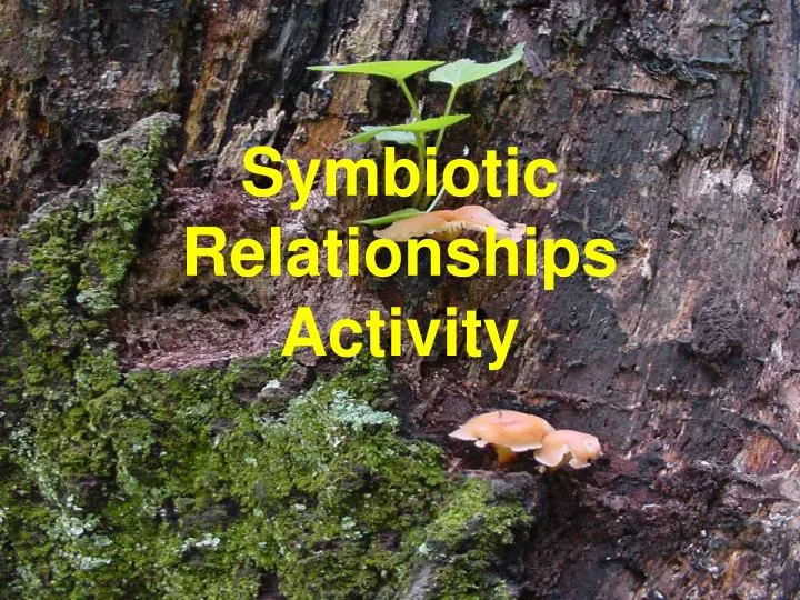 symbiotic relationships activity