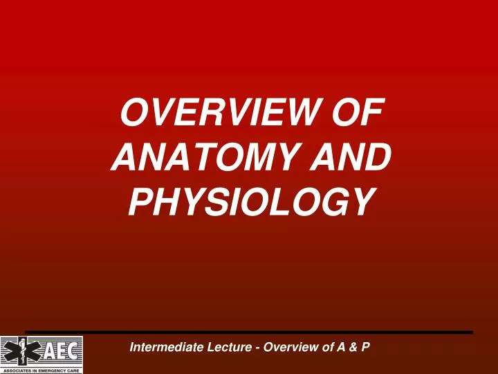 overview of anatomy and physiology